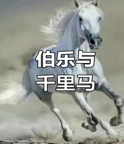 老二岂是池中物，一遇风云变化龙！只是伯乐难寻、伯乐难寻！