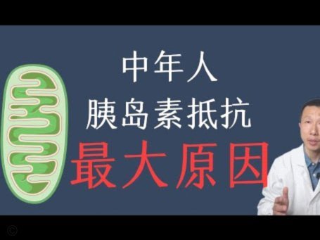 浮岛敏创作解析：感官与权力的极致体验